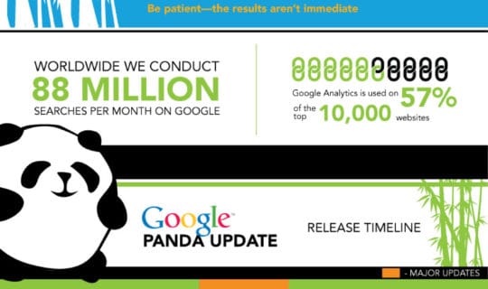 Google Panda Update Up Close Infographic scaled