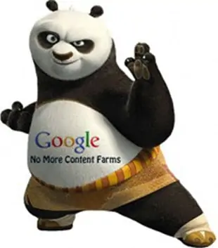 google panda21