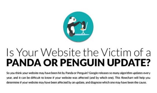 infographie sanction panda penguin 1