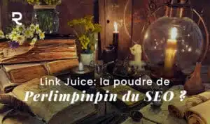 link juice seo referencement